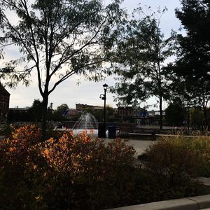 Meet your Posher, Ysrael